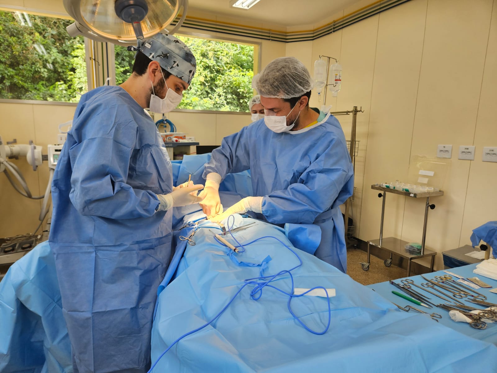 Hospital Cristiano Machado Aline de Castro Alves Fhemig 1